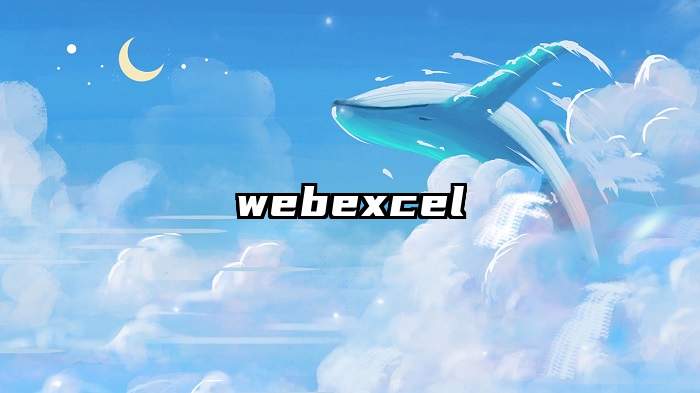 webexcel