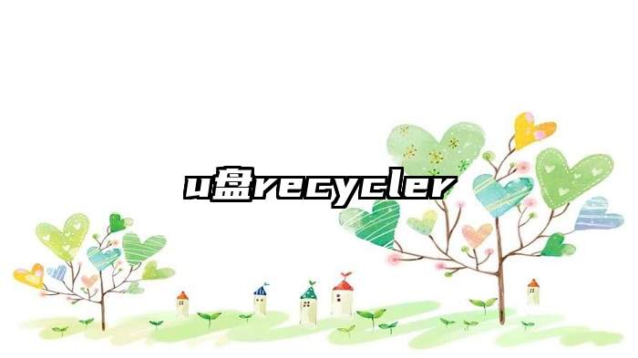 u盘recycler