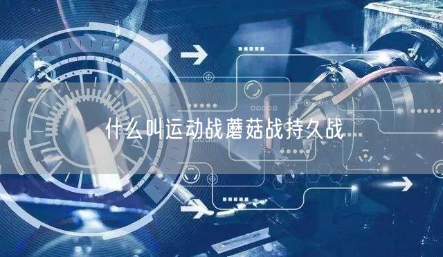 什么叫运动战蘑菇战持久战