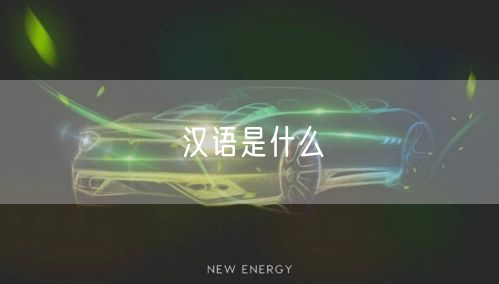 汉语是什么 汉语是什么
