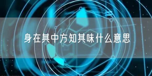 身在其中方知其味什么意思