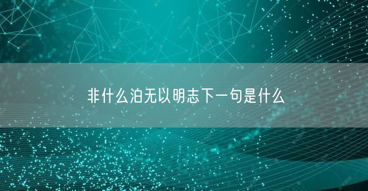 非什么泊无以明志下一句是什么