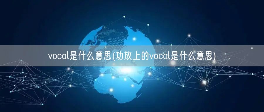 vocal是什么意思(功放上的vocal是什么意思)