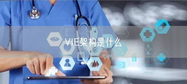 VIE架构是什么