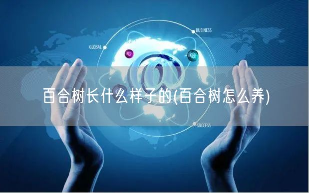 百合树长什么样子的(百合树怎么养)