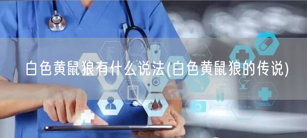 白色黄鼠狼有什么说法(白色黄鼠狼的传说)
