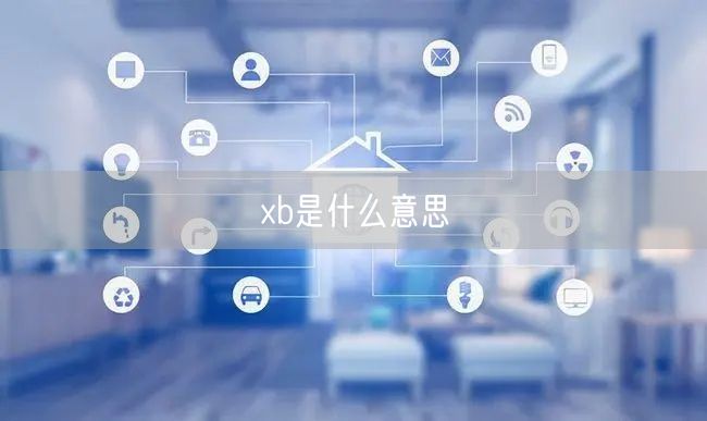 xb是什么意思