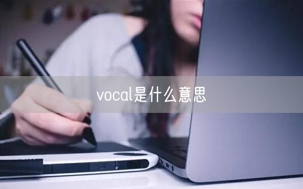 vocal是什么意思