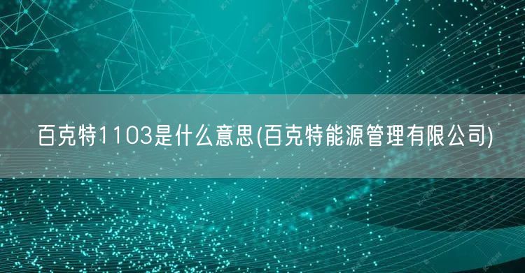百克特1103是什么意思(百克特能源管理有限公司)