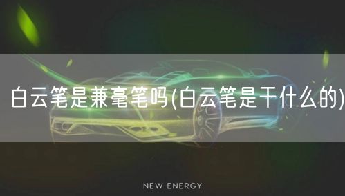 白云笔是兼毫笔吗(白云笔是干什么的)