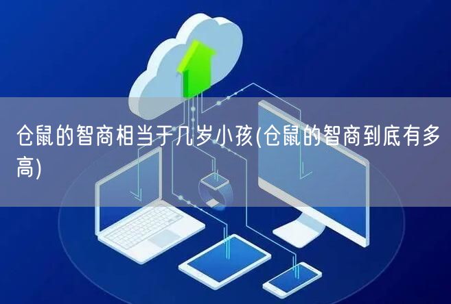 仓鼠的智商相当于几岁小孩(仓鼠的智商到底有多高)