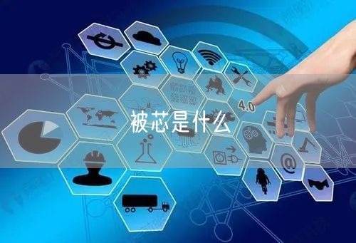 被芯是什么