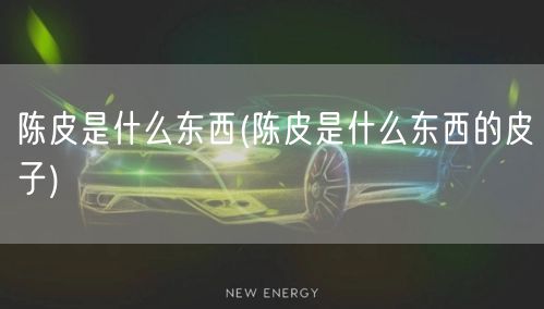 陈皮是什么东西(陈皮是什么东西的皮子)