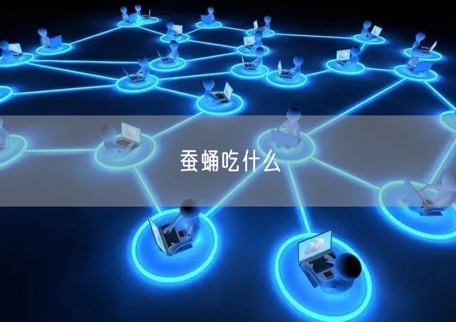 蚕蛹吃什么