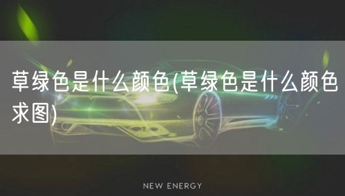 草绿色是什么颜色(草绿色是什么颜色求图)