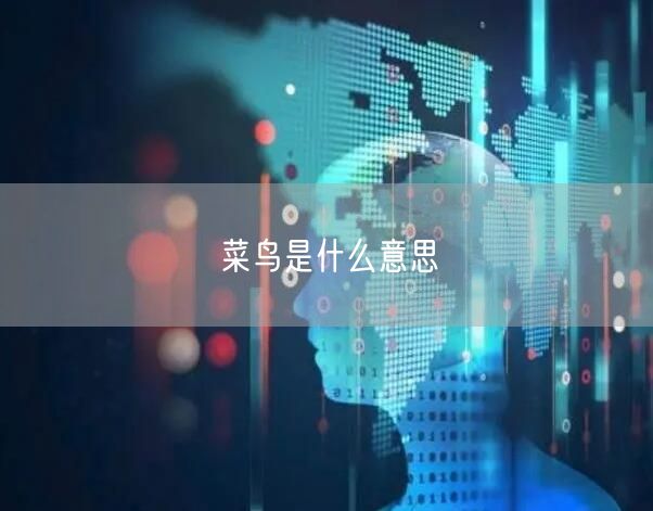 菜鸟是什么意思