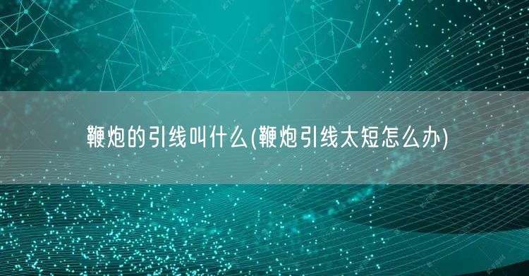 鞭炮的引线叫什么(鞭炮引线太短怎么办)