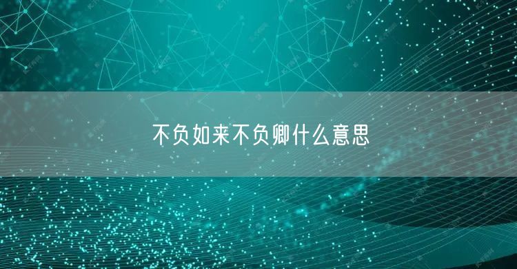 不负如来不负卿什么意思