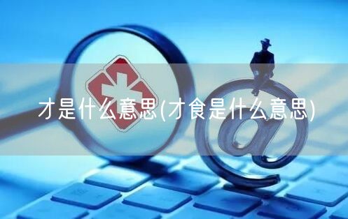 才是什么意思(才食是什么意思)