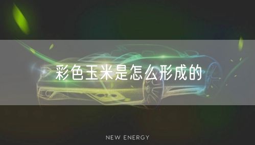 彩色玉米是怎么形成的