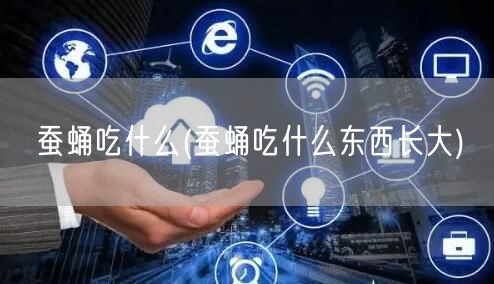 蚕蛹吃什么(蚕蛹吃什么东西长大)