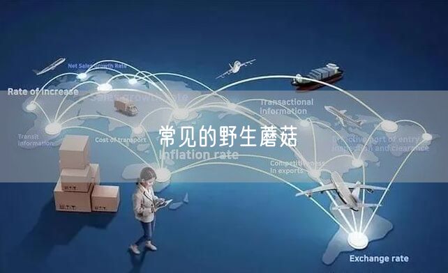 常见的野生蘑菇