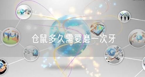 仓鼠多久需要磨一次牙