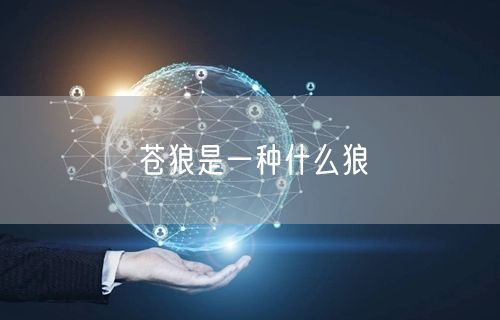 苍狼是一种什么狼