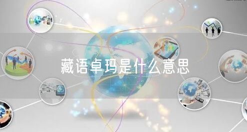 藏语卓玛是什么意思