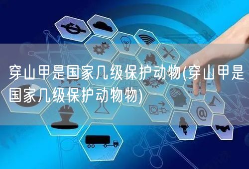 穿山甲是国家几级保护动物(穿山甲是国家几级保护动物物)