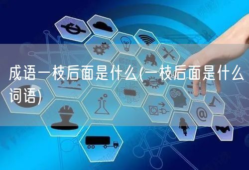 成语一枝后面是什么(一枝后面是什么词语)