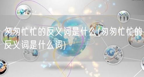 匆匆忙忙的反义词是什么(匆匆忙忙的反义词是什么词)