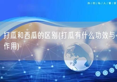 打瓜和西瓜的区别(打瓜有什么功效与作用)
