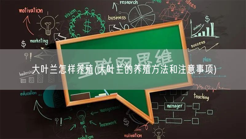 大叶兰怎样养殖(大叶兰的养殖方法和注意事项)