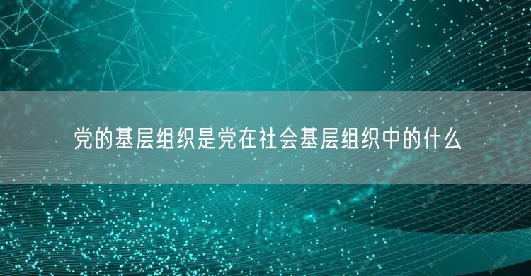 党的基层组织是党在社会基层组织中的什么