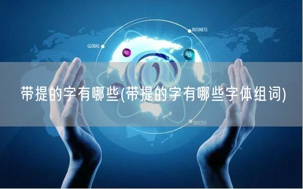 带提的字有哪些(带提的字有哪些字体组词)