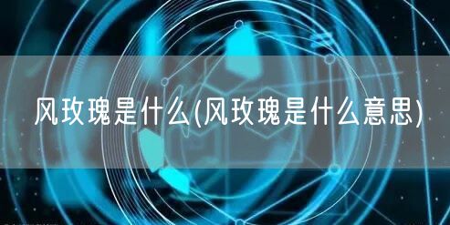 风玫瑰是什么(风玫瑰是什么意思)