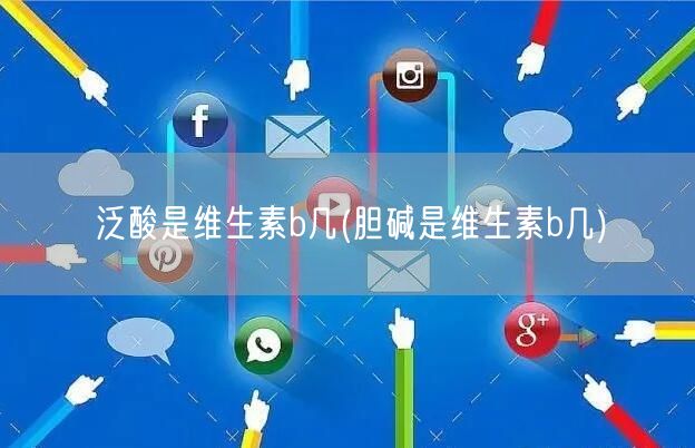 泛酸是维生素b几(胆碱是维生素b几)