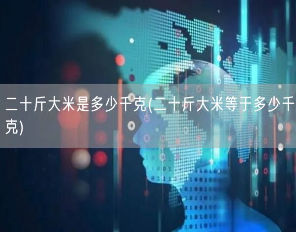 二十斤大米是多少千克(二十斤大米等于多少千克)