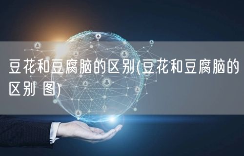 豆花和豆腐脑的区别(豆花和豆腐脑的区别 图)