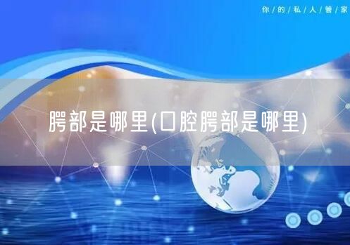 腭部是哪里(口腔腭部是哪里)