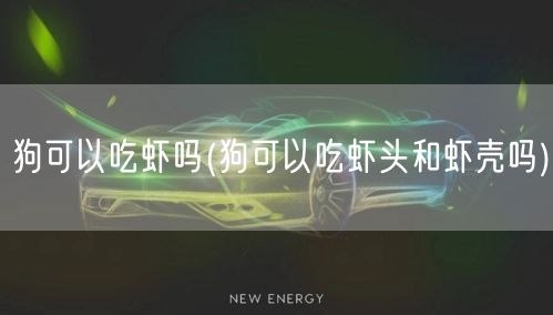 狗可以吃虾吗(狗可以吃虾头和虾壳吗)