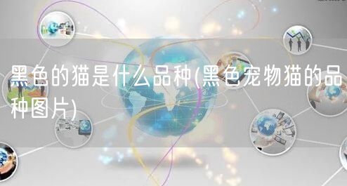 黑色的猫是什么品种(黑色宠物猫的品种图片)