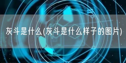 灰斗是什么(灰斗是什么样子的图片)