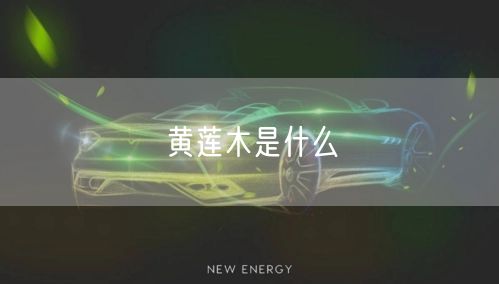 黄莲木是什么
