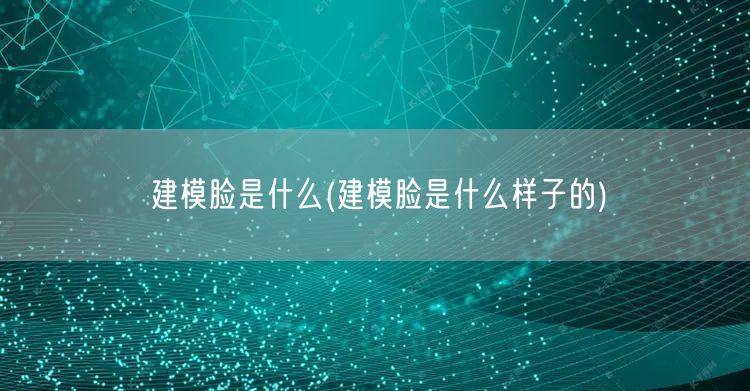 建模脸是什么(建模脸是什么样子的)