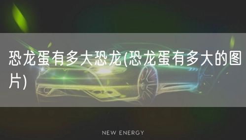 恐龙蛋有多大恐龙(恐龙蛋有多大的图片)