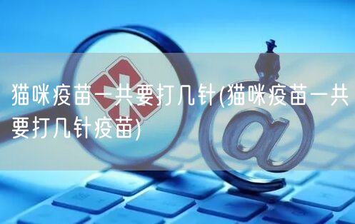 猫咪疫苗一共要打几针(猫咪疫苗一共要打几针疫苗)