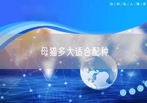 母猫多大适合配种