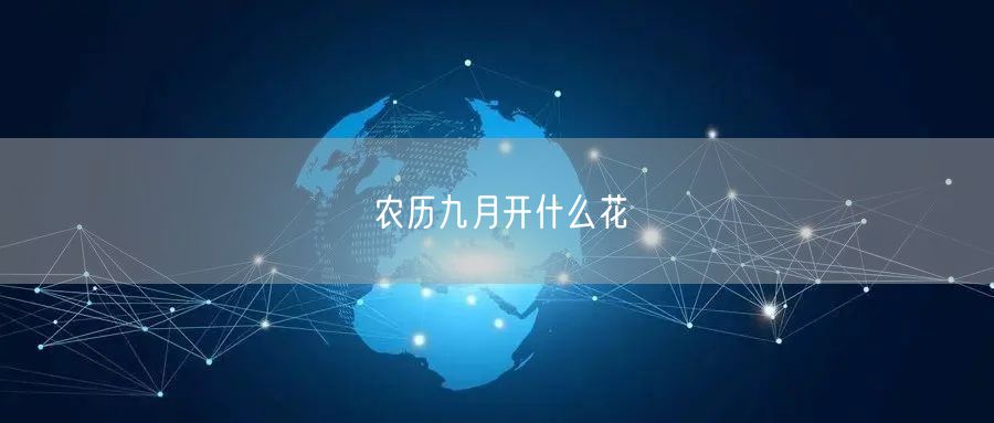 农历九月开什么花